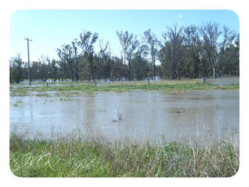 Flooded roads 4