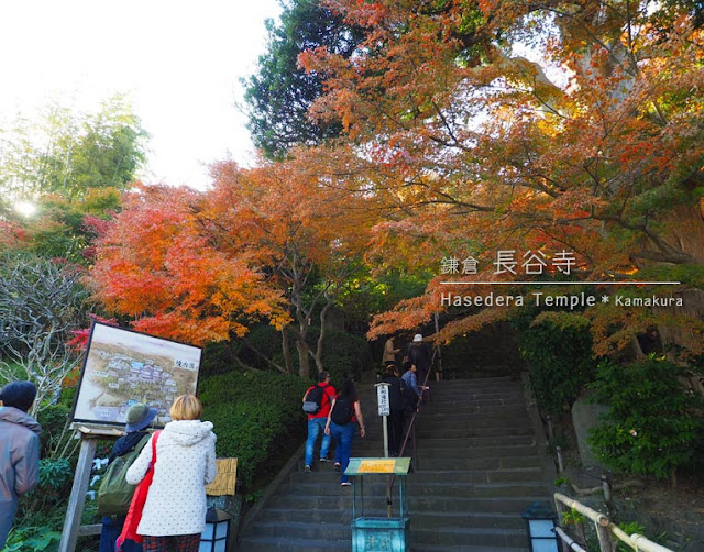 長谷寺の階段上の紅葉