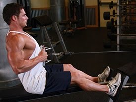 Seated Cable Row