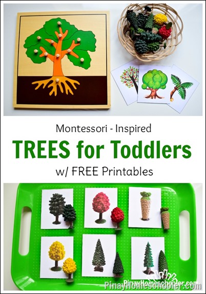 letter t trees