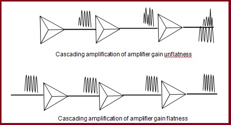 Amplifier gain fitness 