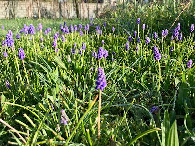 French Village Diaries searching for spring #KTTinyTourer #BromptoninFrance