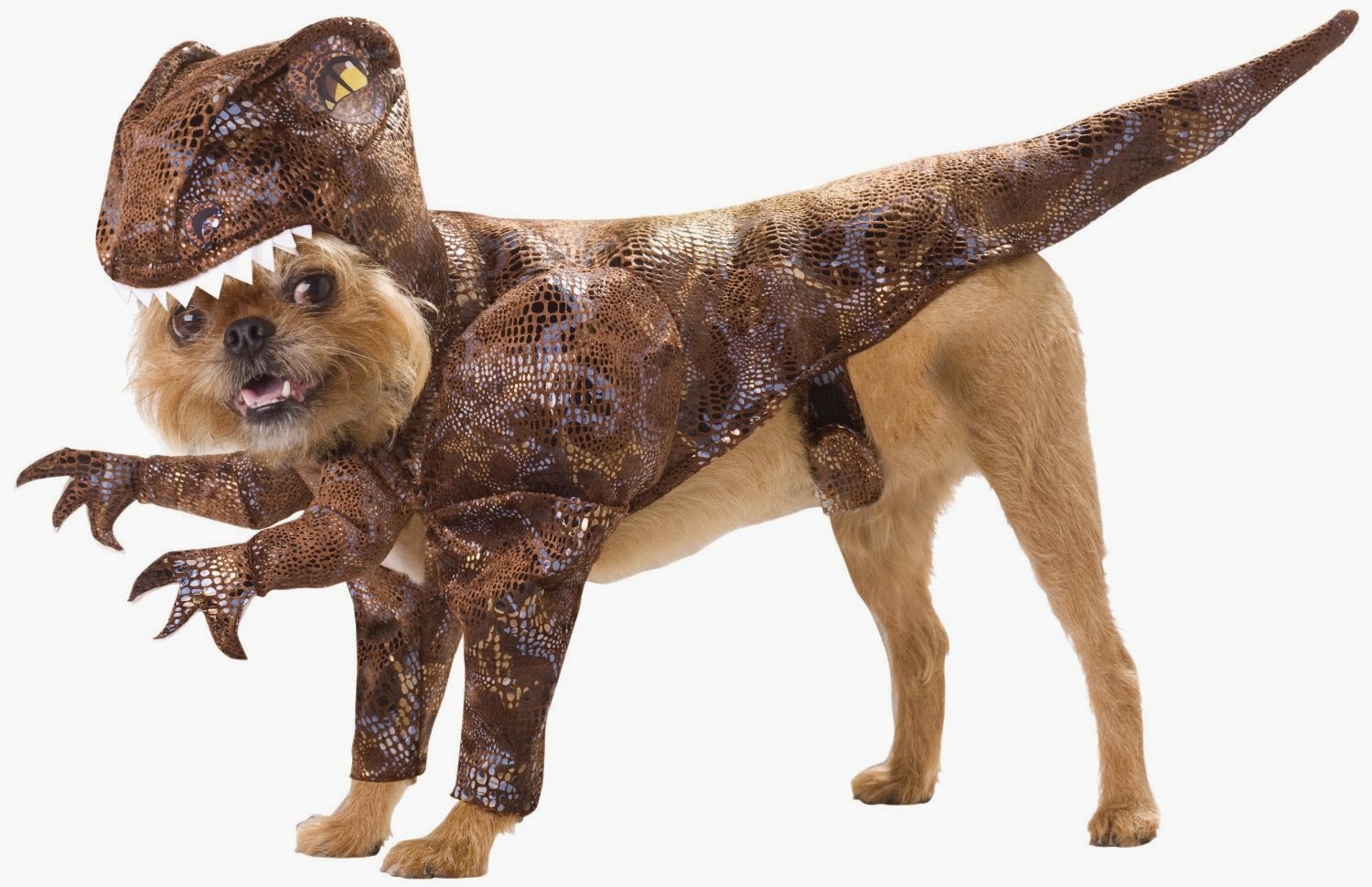 animal planet dog costume for Halloween