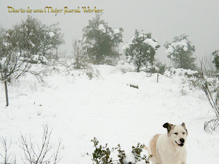 Disfrutando de la nieve