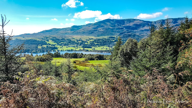 Grizedale Forest- Lake District