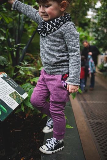 Mini Hudson Pants 40