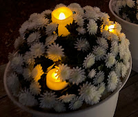 mum garden spheres with lights