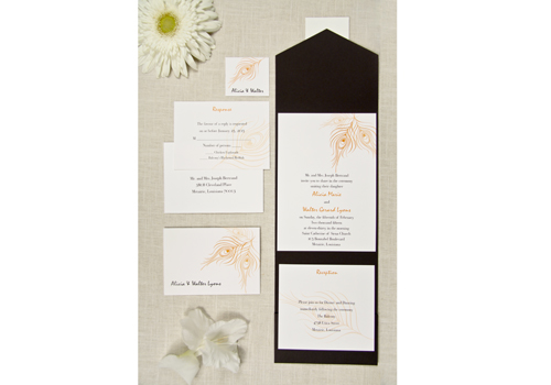 The Purple Mermaid features the finest wedding invitation packes on the 