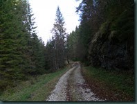 DSCN8344