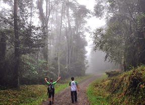 Cinchona Forest Reserve, Lantapan, Bukidnon