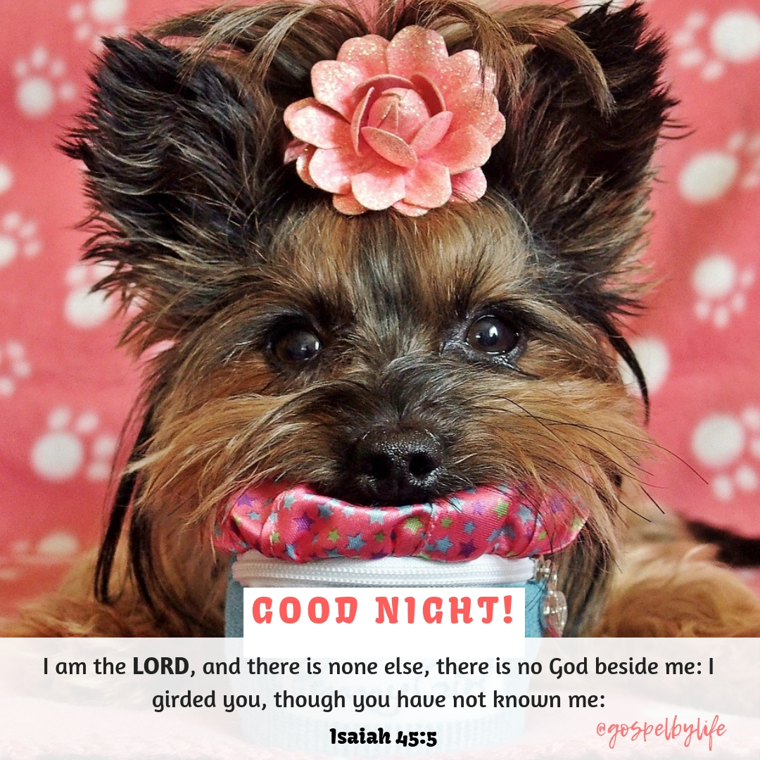 Mighty Good Night Bible Image