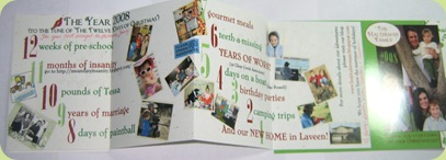 Christmas Card Ideas with My Insanity - A Little Tipsy
