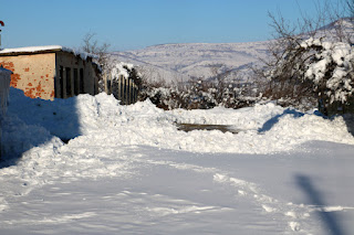 Looking towards the laboriously cleared driveway