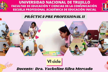 PRÁCTICA PREPROFESIONAL II