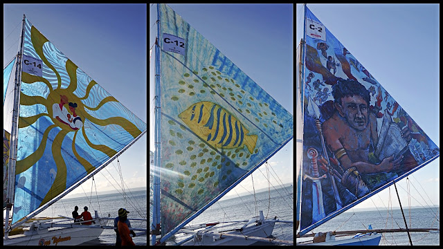 painted sails at the Iloilo Paraw Regatta