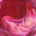 Usia Janin 32 Minggu, Bagaimana Perkembangan Janin dan Perubahan Tubuh Ibu yang Terjadi?