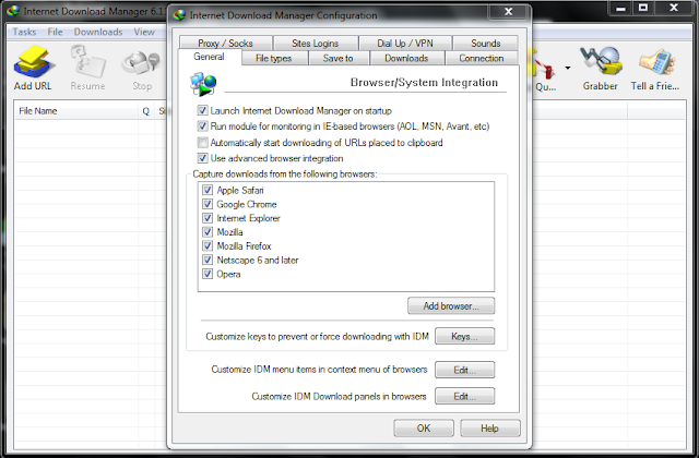 Internet Download Manager 6.11 Screenshot