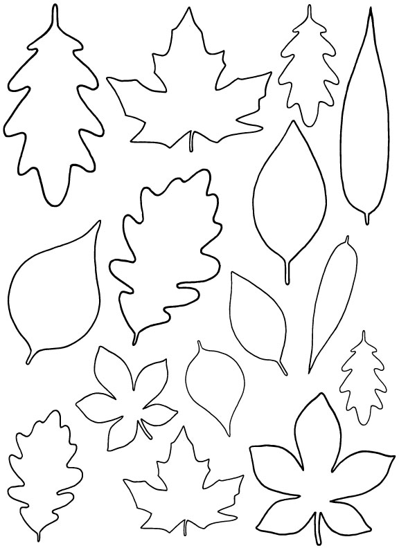 Leaf Template 6