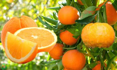 orange; orange fruit