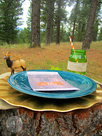 Irish Elk St. Patrick's Day party by Fizzy Party 