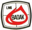 Lowongan kerja S1 Engineer, Mechanical, Electrical Engineering/Power PT. BADAK NGL Bontang, Kalimantan Timur