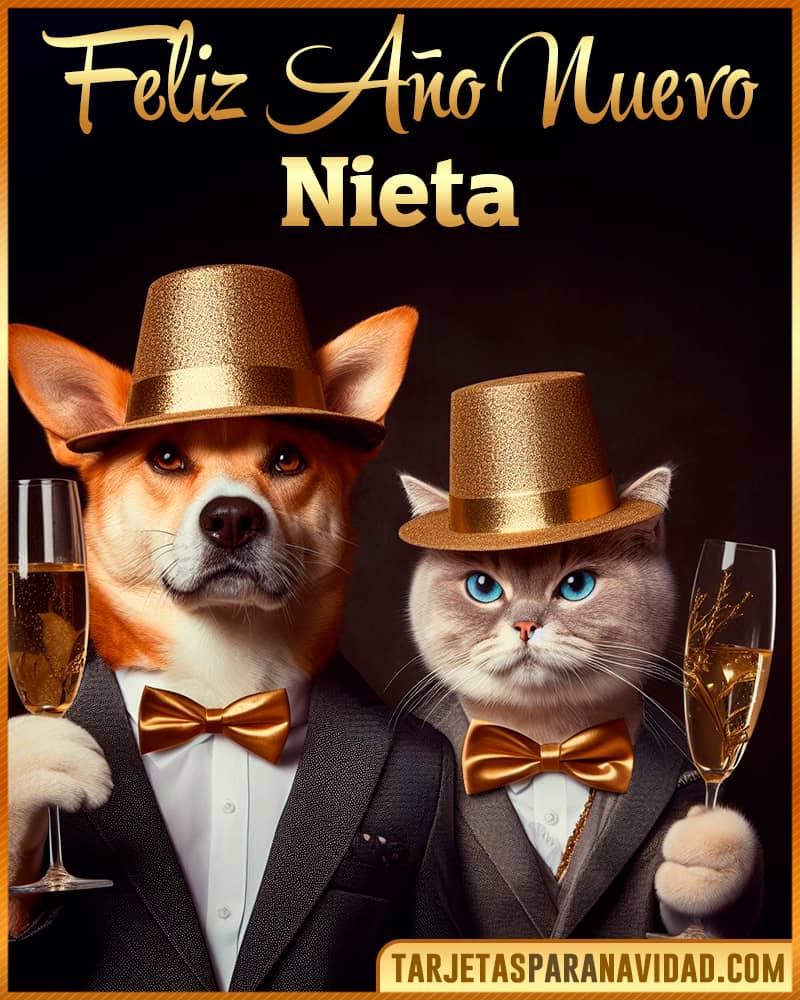 Tarjeta De Feliz Año Nuevo De Perro Y Gato Para Nieta