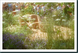 Hampton Court Flower Show 2010 043
