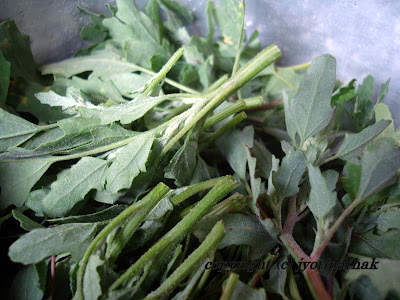 Information about Green Leafy Vegetables Nepal 