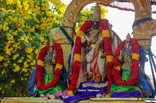 Dhavanautsavam,Day 04,Vaibhavam,Thirumanjanam, Sri PArthasarathy Perumal, Perumal, Venkata Krishna , Varushotsavam, 2018, Video, Divya Prabhandam,Triplicane,Thiruvallikeni,Utsavam,