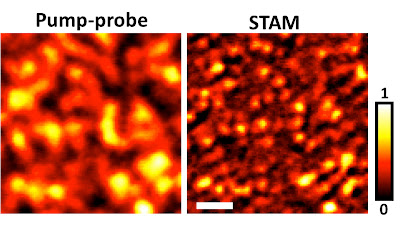 A new type of super-resolution optical microscopy takes a high-resolution image (at right) of graphite "nanoplatelets" about 100 nanometers wide. The imaging system, called saturated transient absorption microscopy, or STAM, uses a trio of laser beams and represents a practical tool for biomedical and nanotechnology research. Credit: Weldon School of Biomedical Engineering, Purdue University 