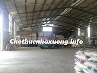 Chothuenhaxuong.info