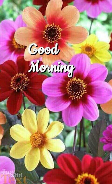 Good Morning flower Wishes Sweet Images