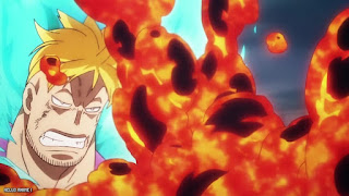 ワンピース アニメ 1087話 不死鳥マルコ Marco the Phoenix ONE PIECE Episode 1087