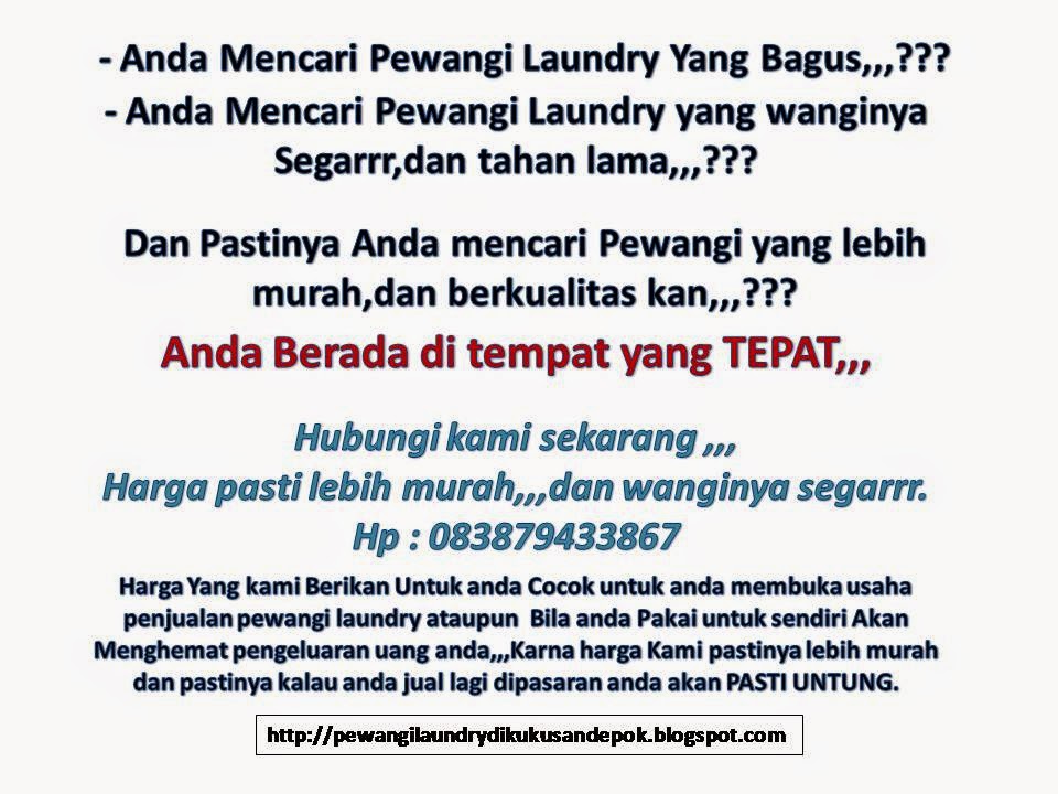 http://pewangilaundrydikukusandepok.blogspot.com/