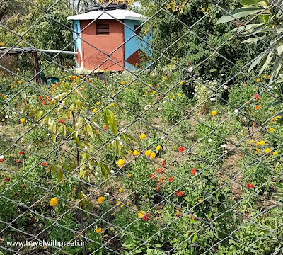 दीनदयाल उपाध्याय पार्क दमोह और बेलाताल तालाब दमोह / सर्किट हाउस दमोह