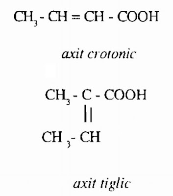 Thành phần hóa học Ba Đậu - Croton tiglium - Nguyên liệu làm thuốc Nhuận Tràng và Tẩy