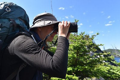 Come Walk With Us birdwatching East Coast Trail.