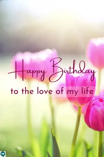 beautiful happy birthday to the love of my life images with pink flowers