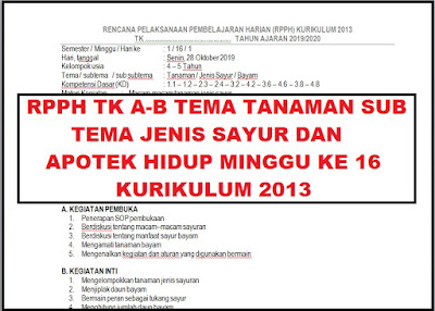 RPPH TK A-B Sub Tema Jenis Sayur dan Apotek Hidup Minggu ke 16 Kurikulum 2013