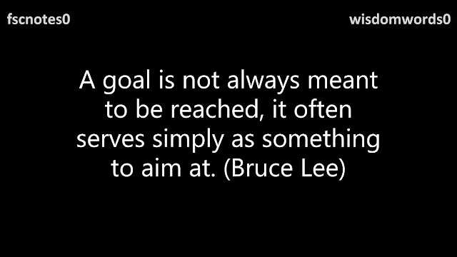 A goal is not always meant to be reached, it often serves simply as something to aim at. (Bruce Lee)