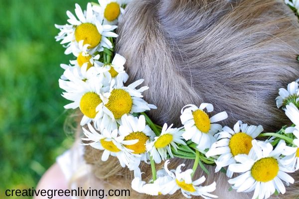 Little girl with a braided daisy chain flower crown on her head