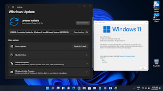 Windows 11 Build 22000.168