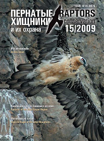 [Cover of Raptors Conservation No. 15]
