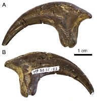 http://sciencythoughts.blogspot.co.uk/2016/02/boreonykus-certekorum-new-species-of.html