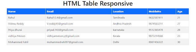 html responsive table