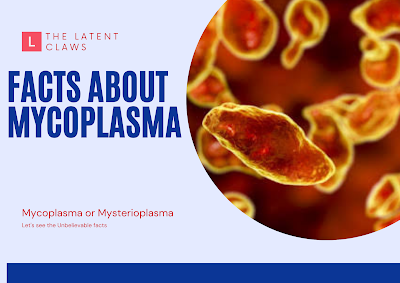 Mycoplasma or Mysterioplasma? History About Mycoplasma 