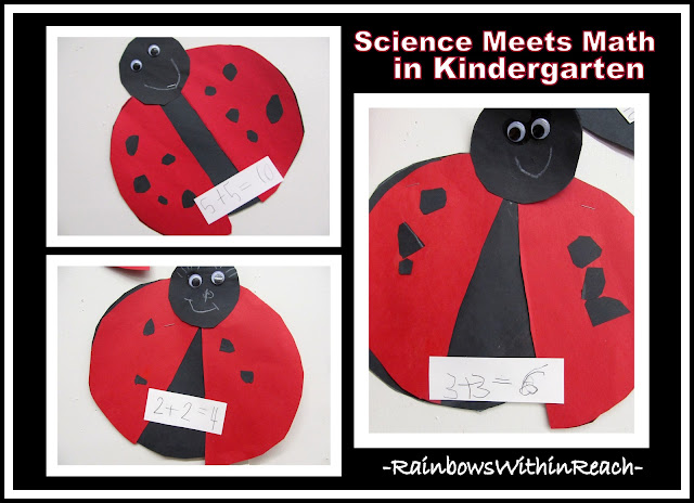 photo of: Science Meets Math with Ladybug Graphing in Kindergarten Project