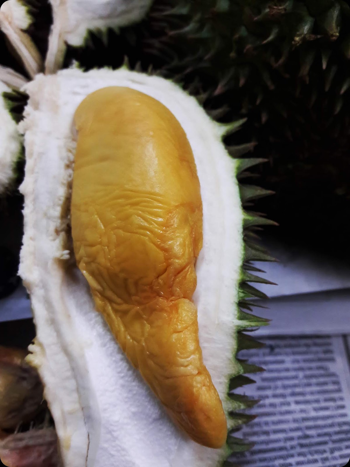 MY ALL kelazatan durian  IOI