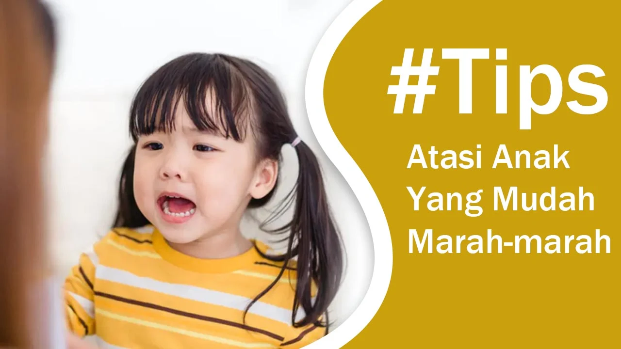 Tips mengatasi Si Kecil Yang Suka Marah-marah