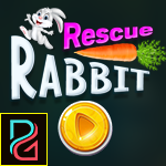 Palani Games Rescue Rabbi…